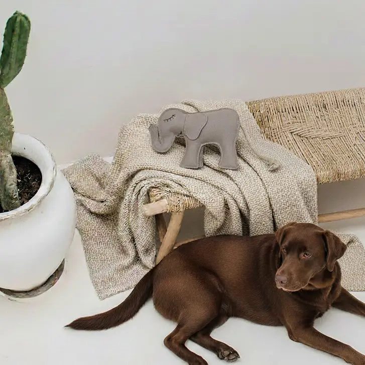 Hundespielzeug aus Leder „Elefant“