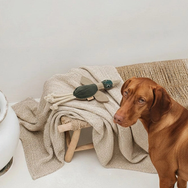 Hundespielzeug aus Leder „Ente“
