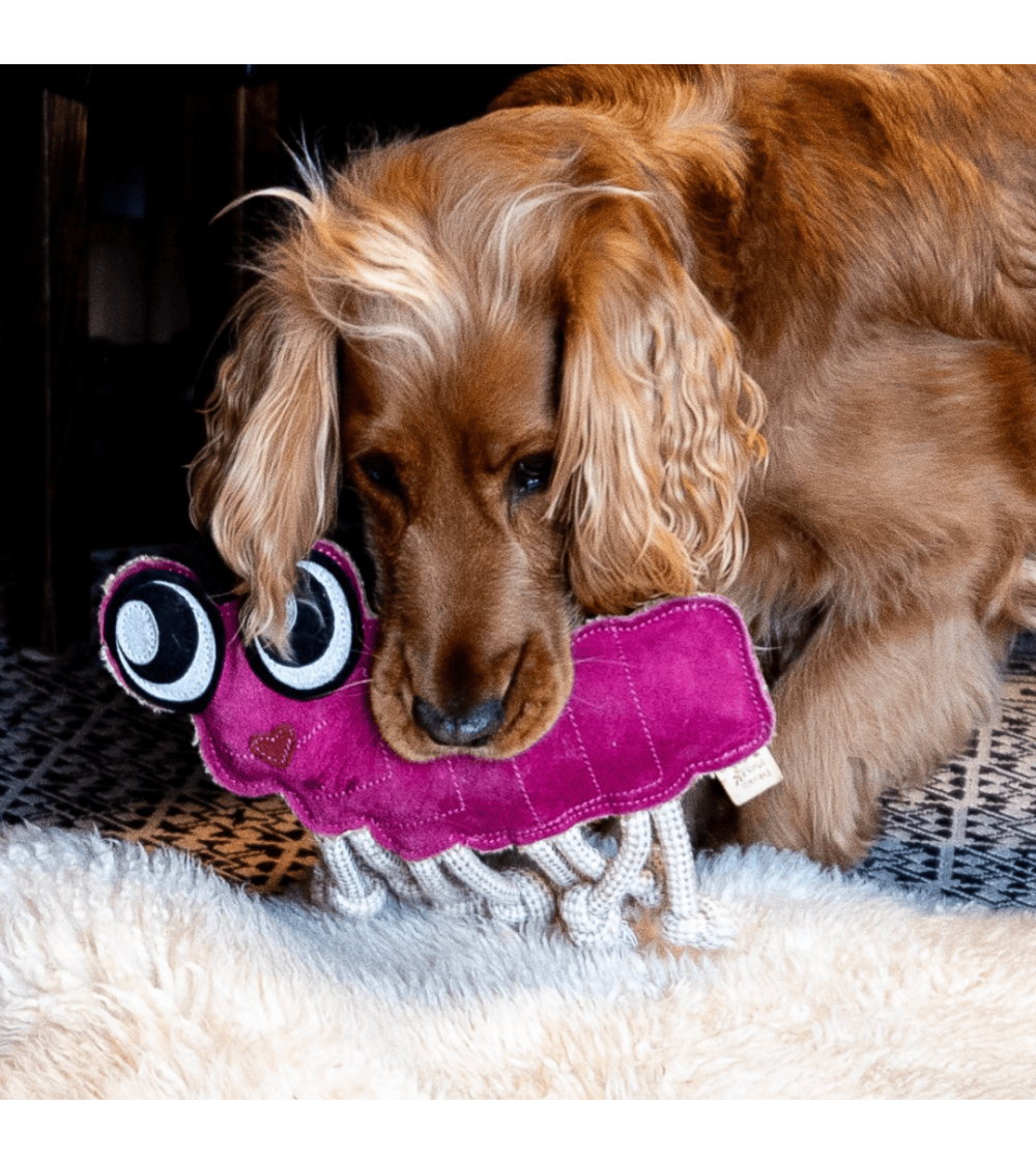 Hundespielzeug "Ruby Raupe"