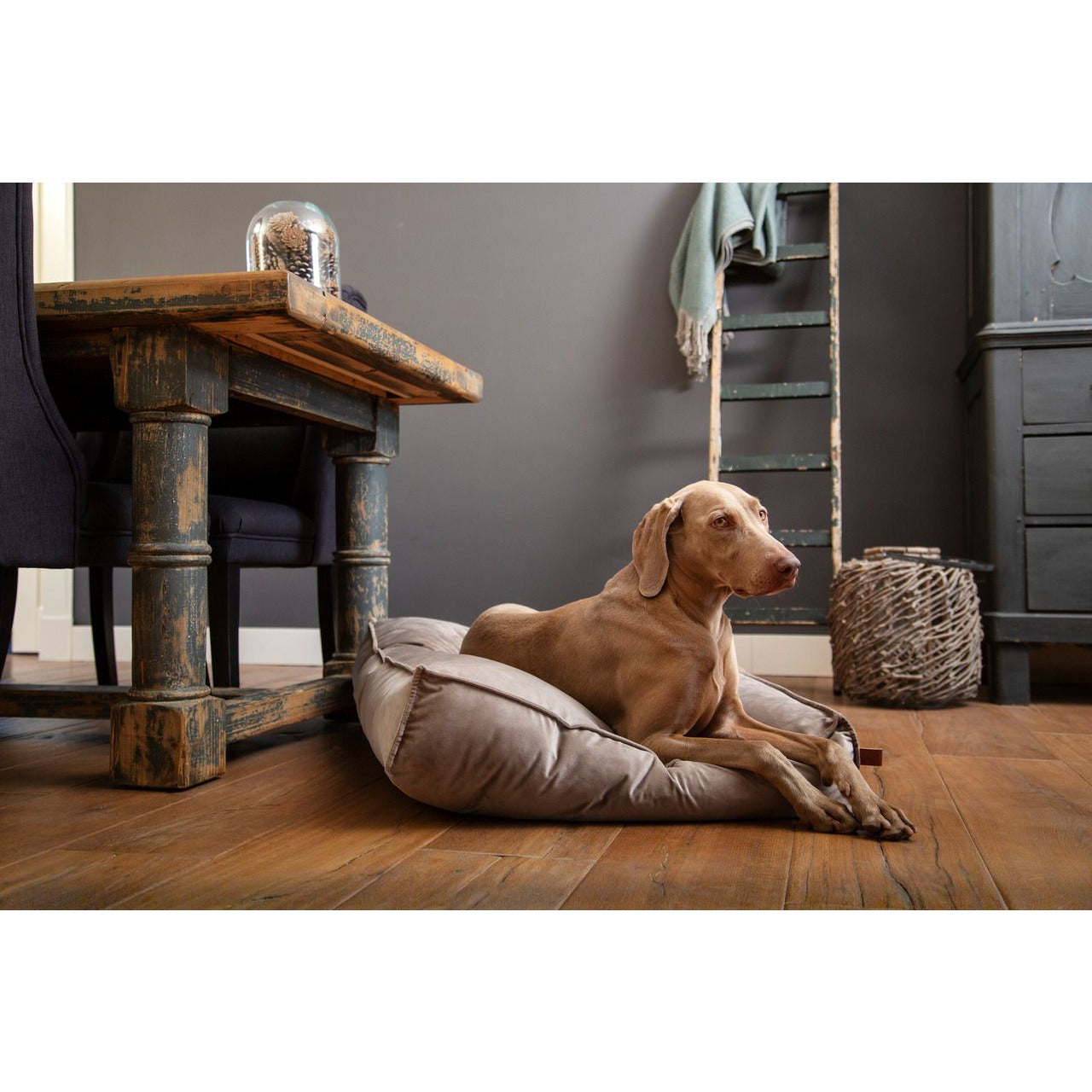 Hundekissen Nalino - Lottes Liebling (Inh. Marion Ots)