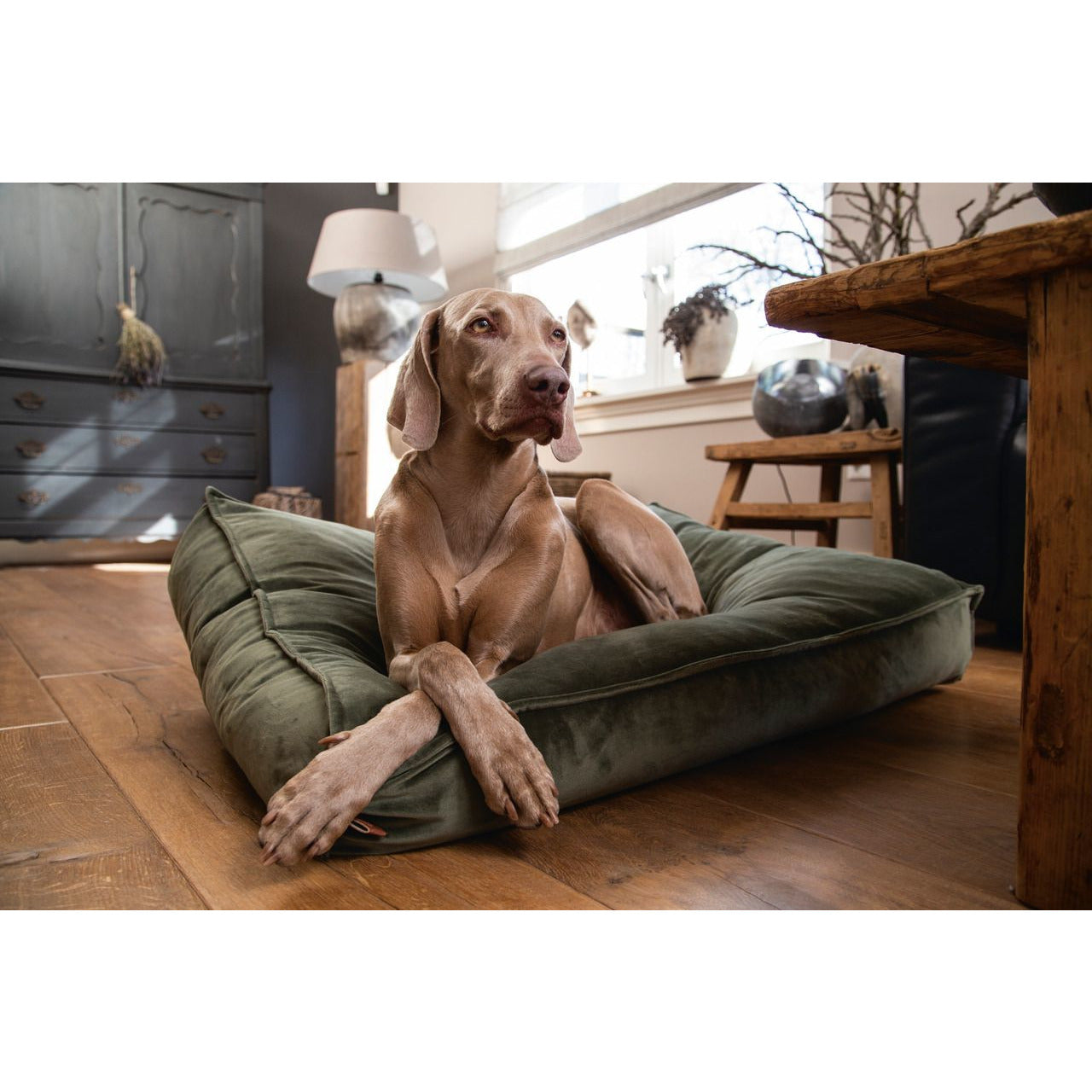 Hundekissen Nalino - Lottes Liebling (Inh. Marion Ots)
