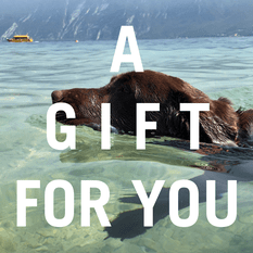 Gutschein - Lottes Liebling