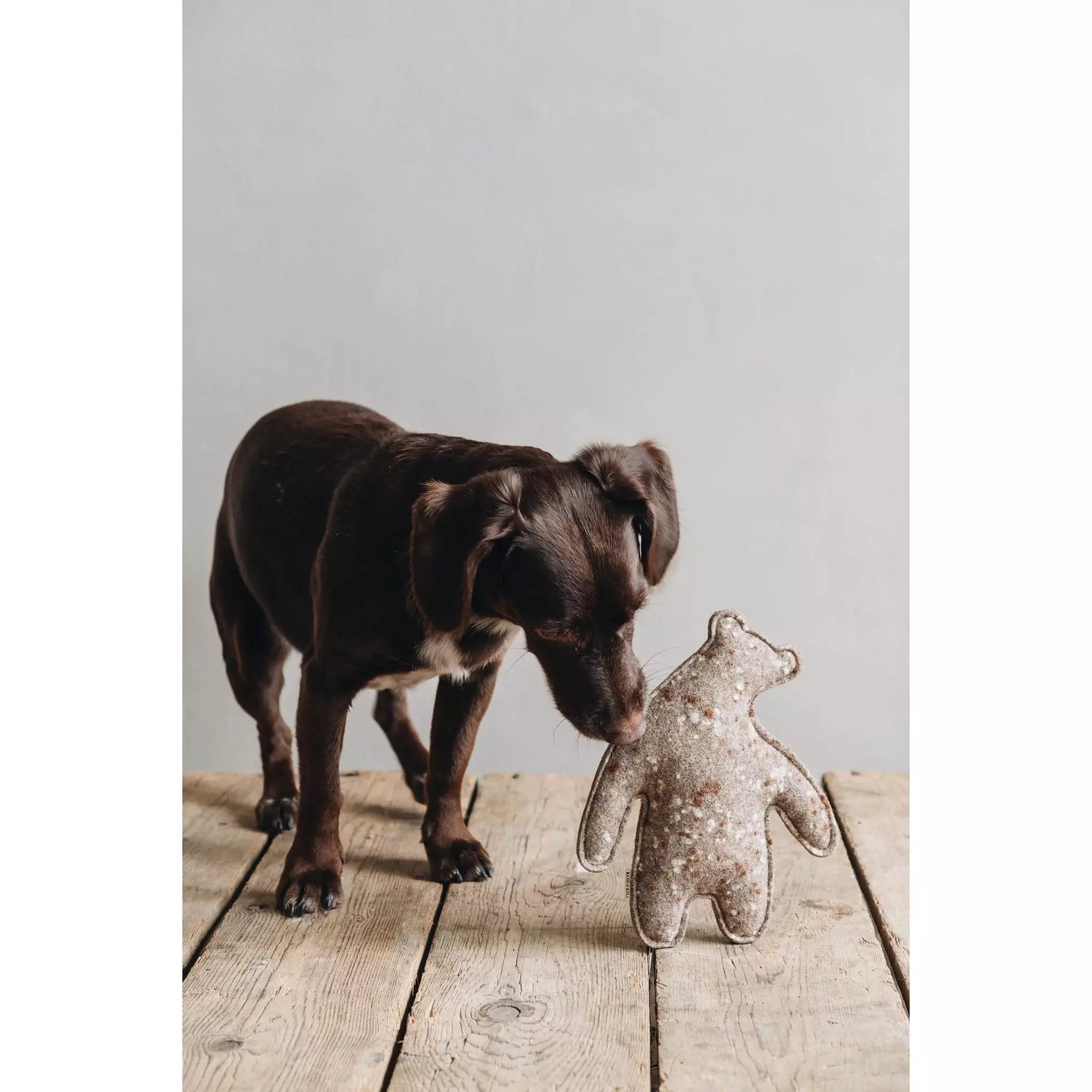 Hundespielzeug WOOL
