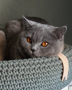 Coco Katzenkorb grün