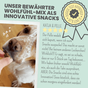 Wohlfühlsnacks für Hunde bei Stress, Angst, Unruhe