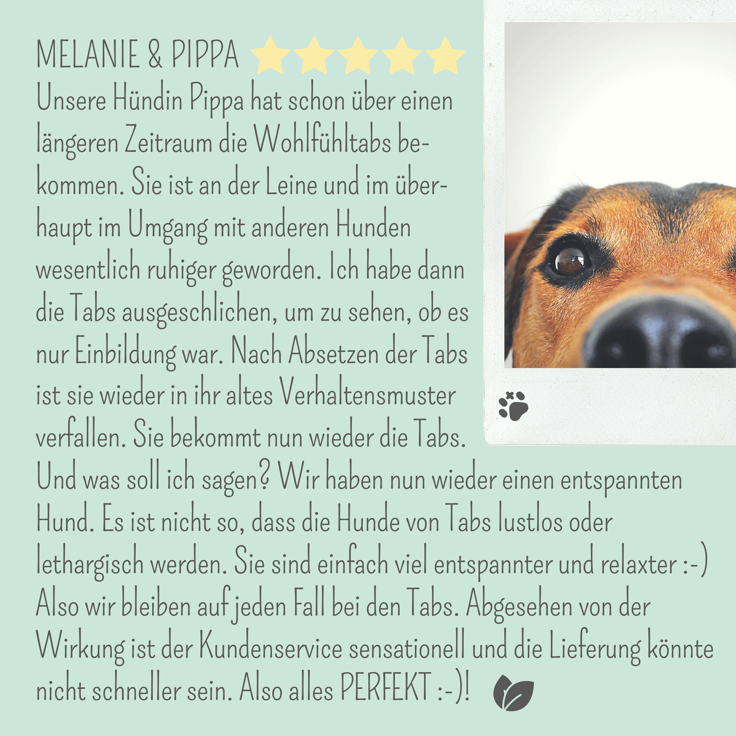 Wohlfühlmix für Hunde bei Stress, Angst, Unruhe