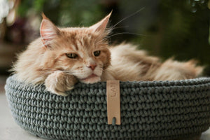 Coco Katzenkorb grün
