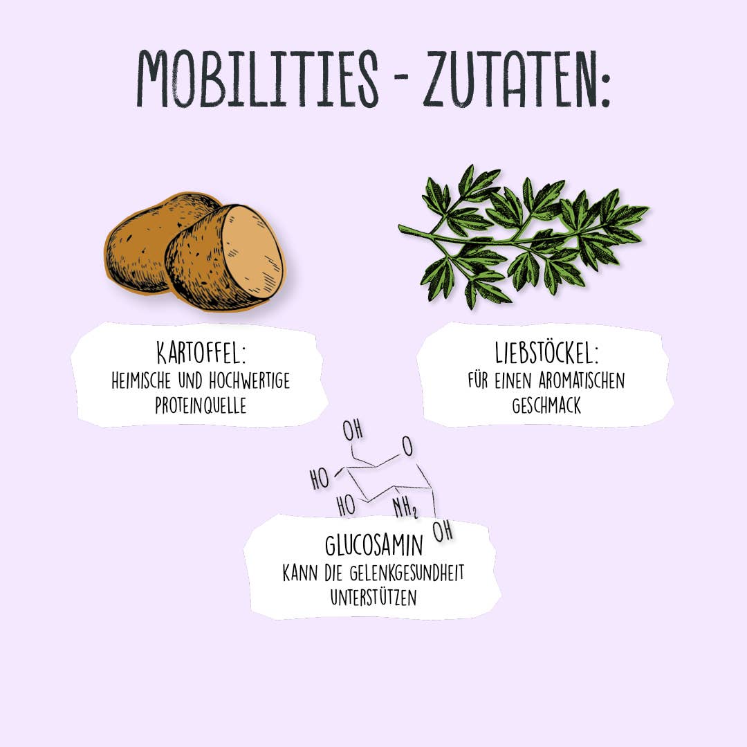 Mobilities