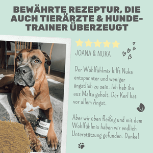 Wohlfühlmix für Hunde bei Stress, Angst, Unruhe