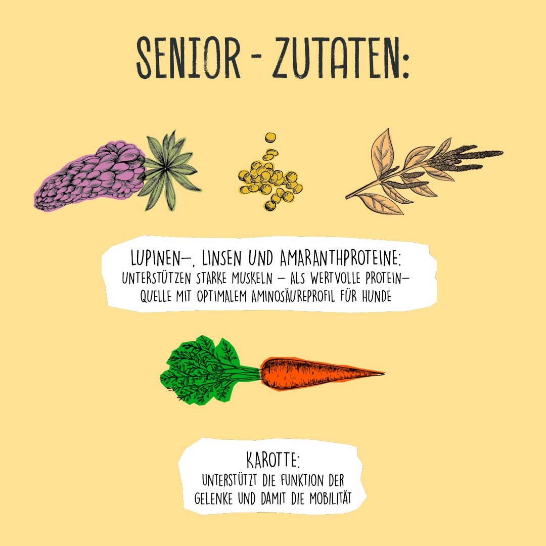 SENIOR Erbsen & Hirse