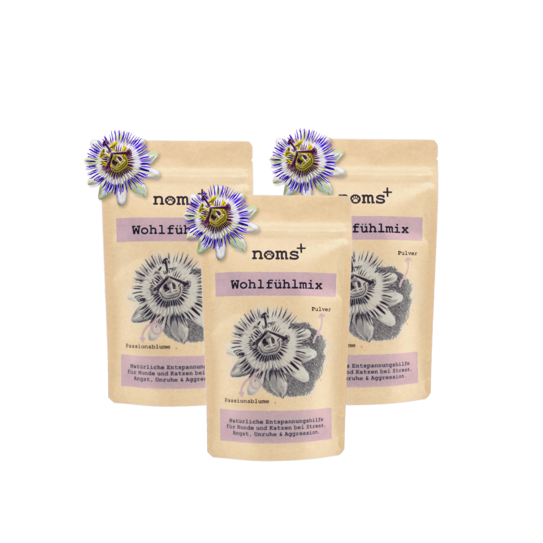 Wohlfühlmix für Hunde bei Stress, Angst, Unruhe
