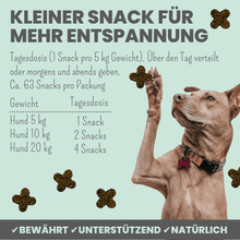 Laden Sie das Bild in den Galerie-Viewer, Wohlfühlsnacks für Hunde bei Stress, Angst, Unruhe