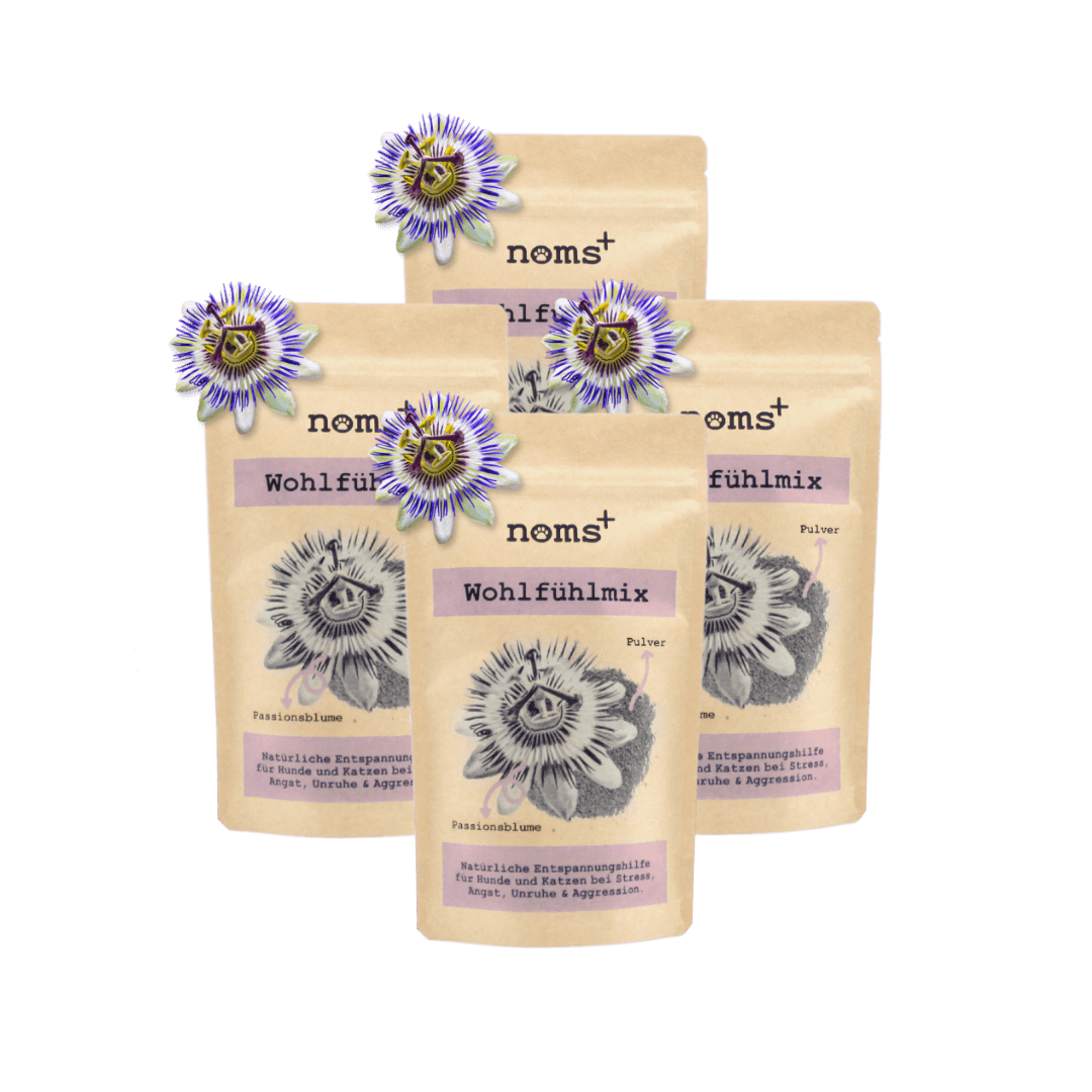 Wohlfühlmix für Hunde bei Stress, Angst, Unruhe