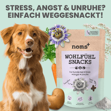 Laden Sie das Bild in den Galerie-Viewer, Wohlfühlsnacks für Hunde bei Stress, Angst, Unruhe