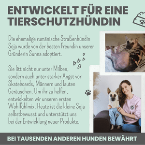 Wohlfühlsnacks für Hunde bei Stress, Angst, Unruhe