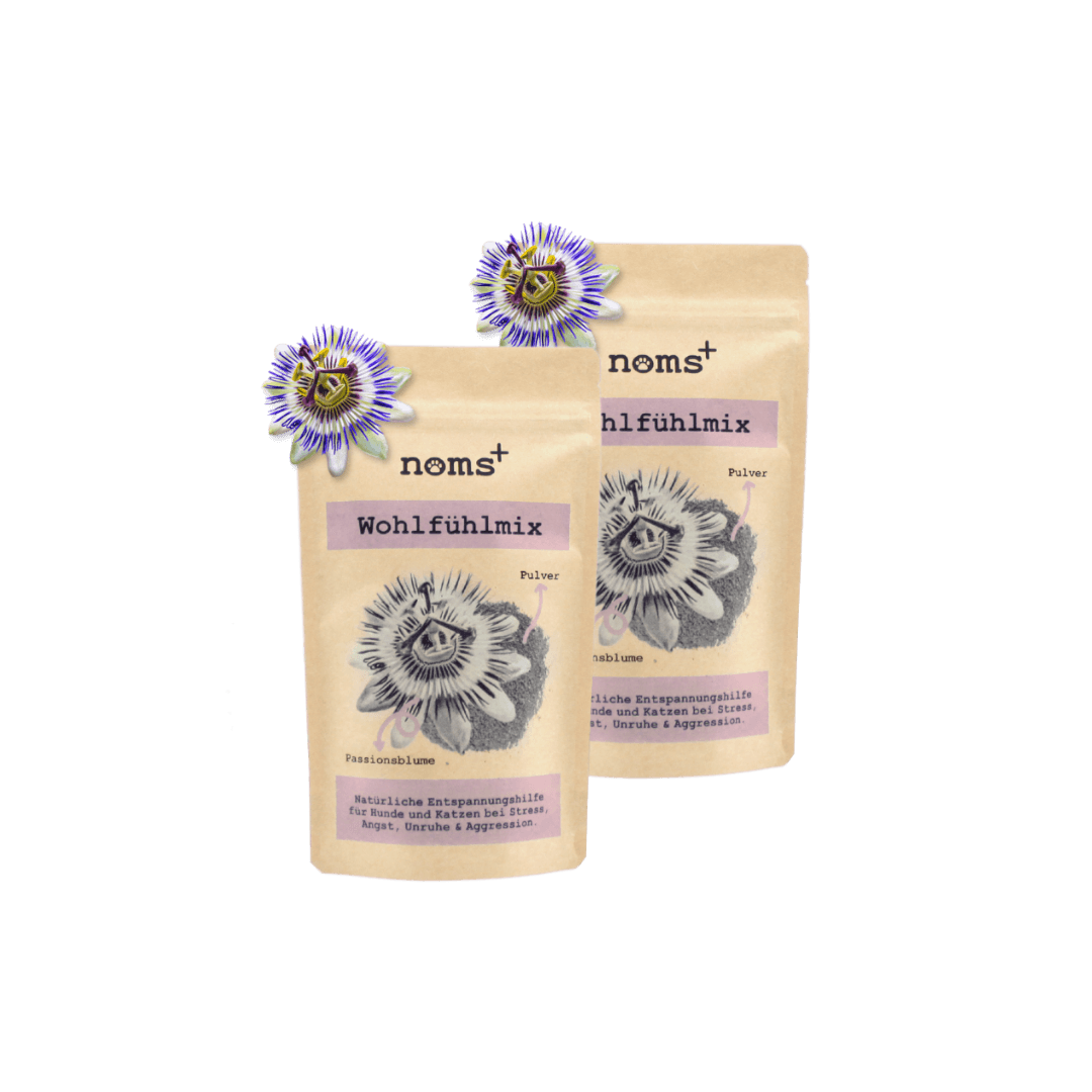 Wohlfühlmix für Hunde bei Stress, Angst, Unruhe