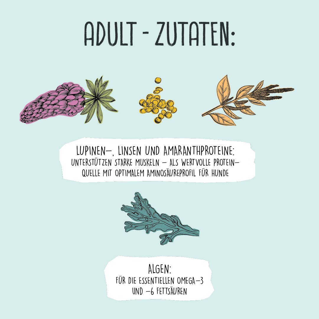 ADULT Linsen & Hirse