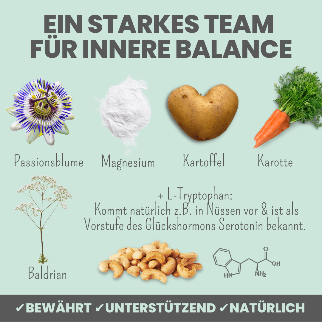 Wohlfühlsnacks für Hunde bei Stress, Angst, Unruhe