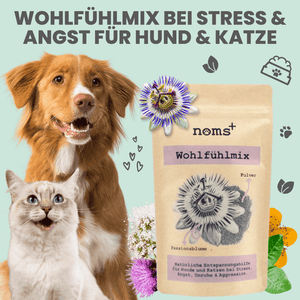 Wohlfühlmix für Hunde bei Stress, Angst, Unruhe