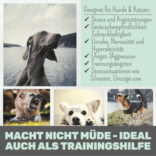 Laden Sie das Bild in den Galerie-Viewer, Wohlfühlmix für Hunde bei Stress, Angst, Unruhe