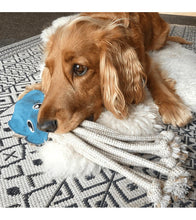 Laden Sie das Bild in den Galerie-Viewer, Oktopus &quot;Karla Krake&quot; - 2in1 Hundespielzeug &amp; Dummy