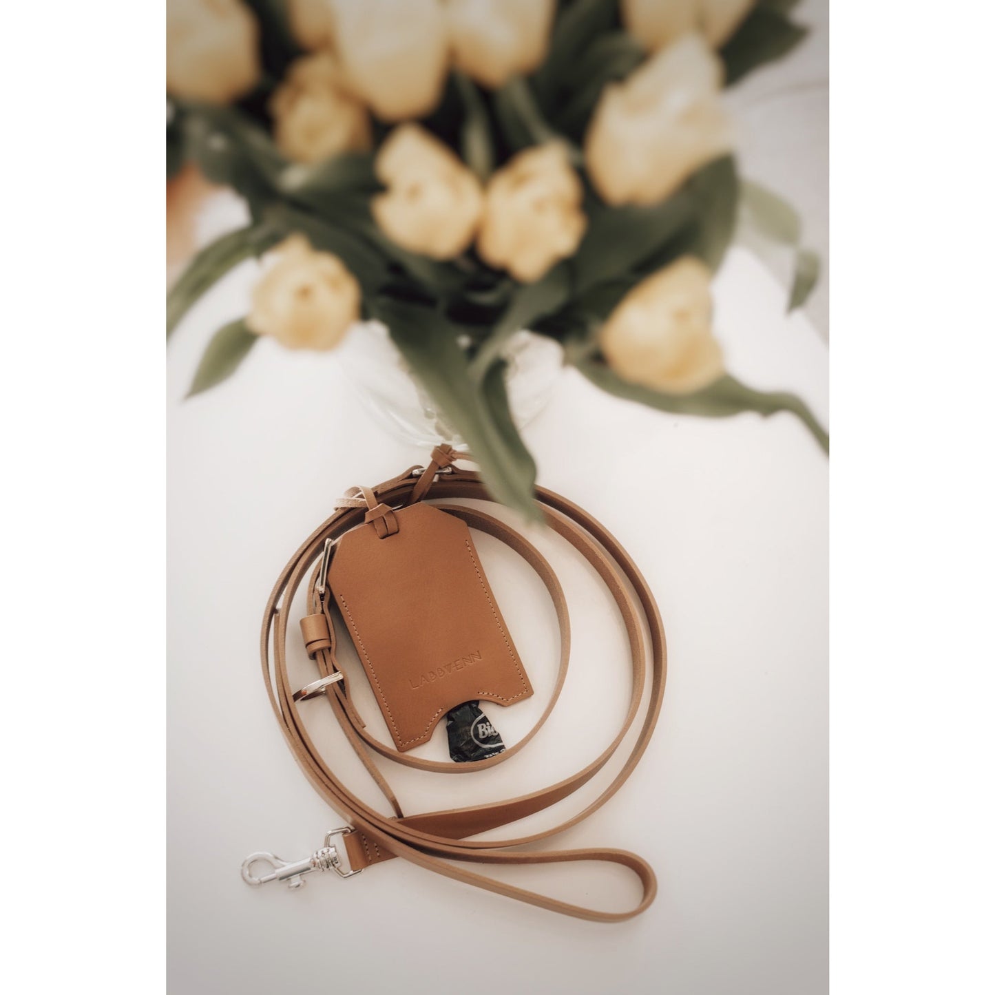 Set Leine Lussa + Kotbeutelspender Saku