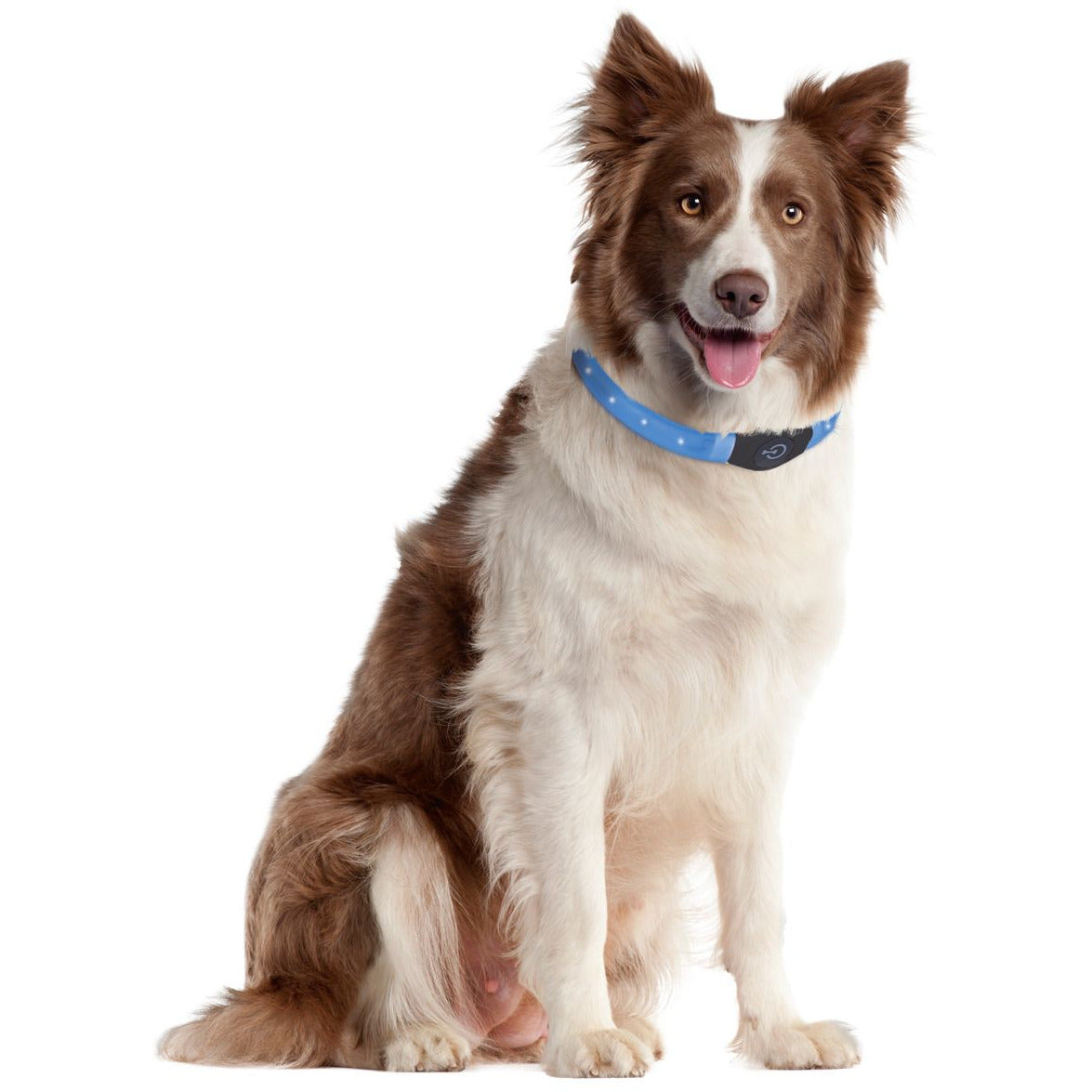 Visio Light LED Schlauchhalsband breit