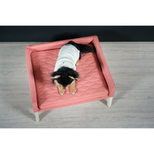 Load image into Gallery viewer, Hundebett Lulu