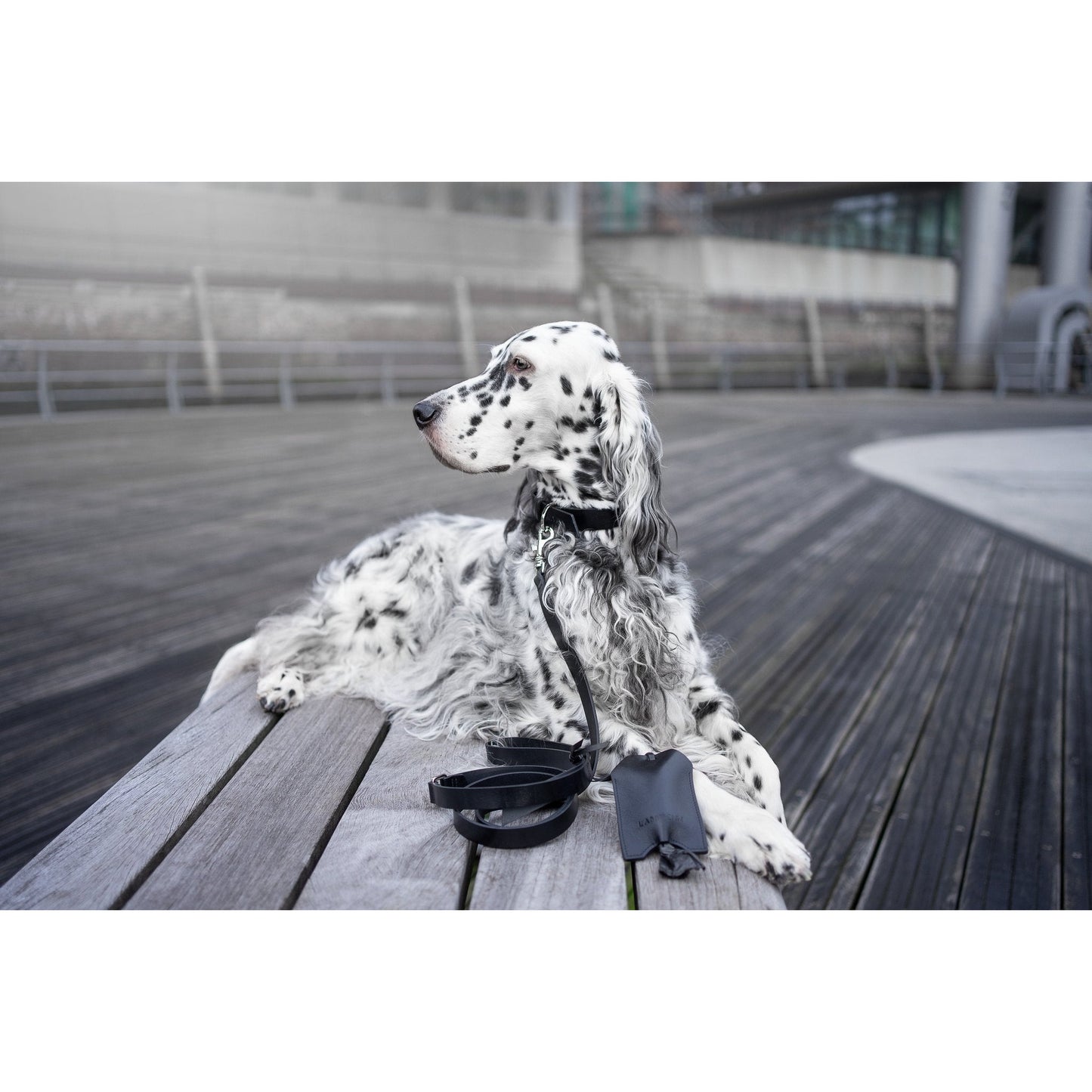 Set Leine Lussa + Kotbeutelspender Saku