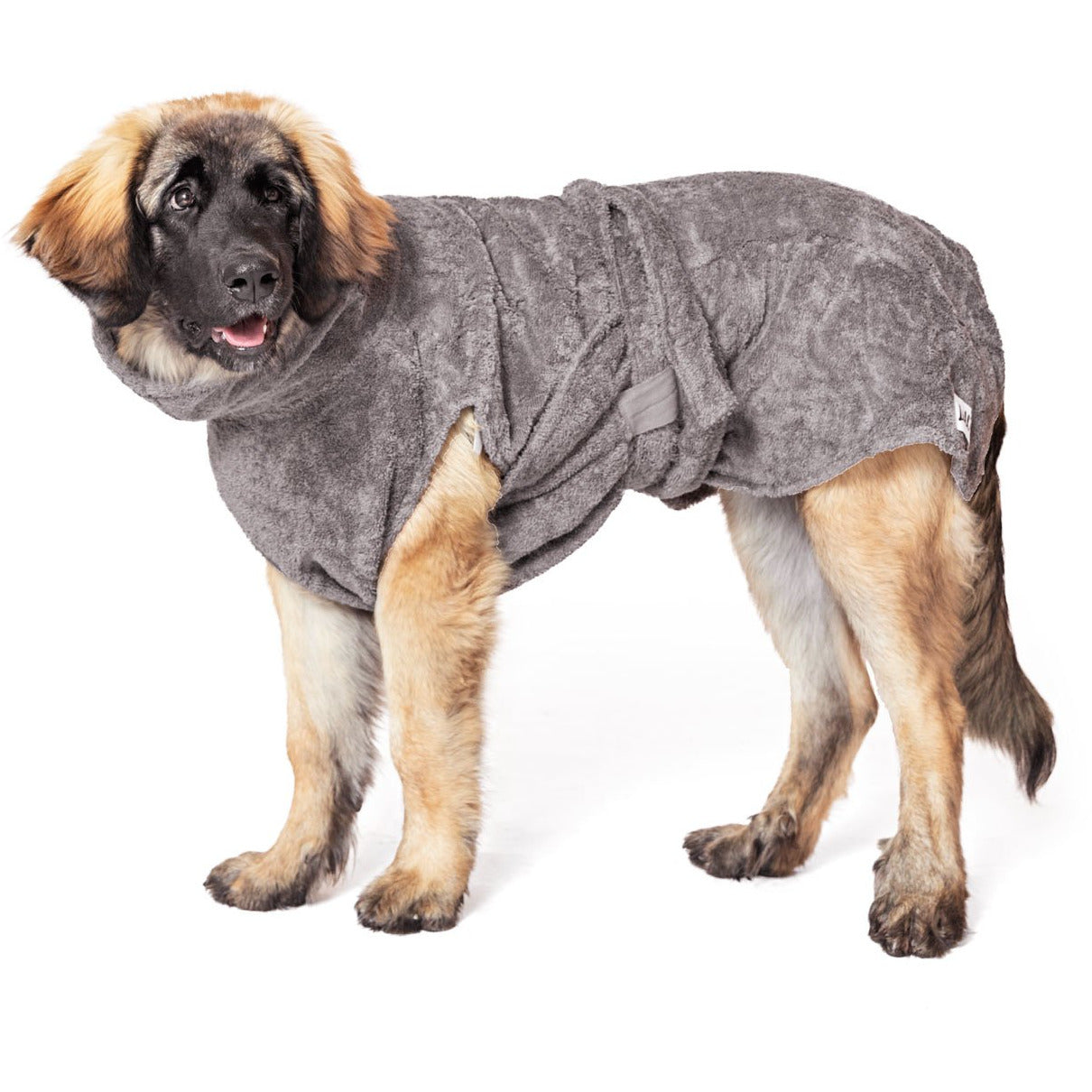 Hundebademantel aus Bio-Baumwolle "Stone Grey" - Lottes Liebling (Inh. Marion Ots)