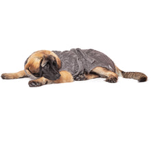 Load image into Gallery viewer, Hundebademantel aus Bio-Baumwolle &quot;Stone Grey&quot; - Lottes Liebling (Inh. Marion Ots)