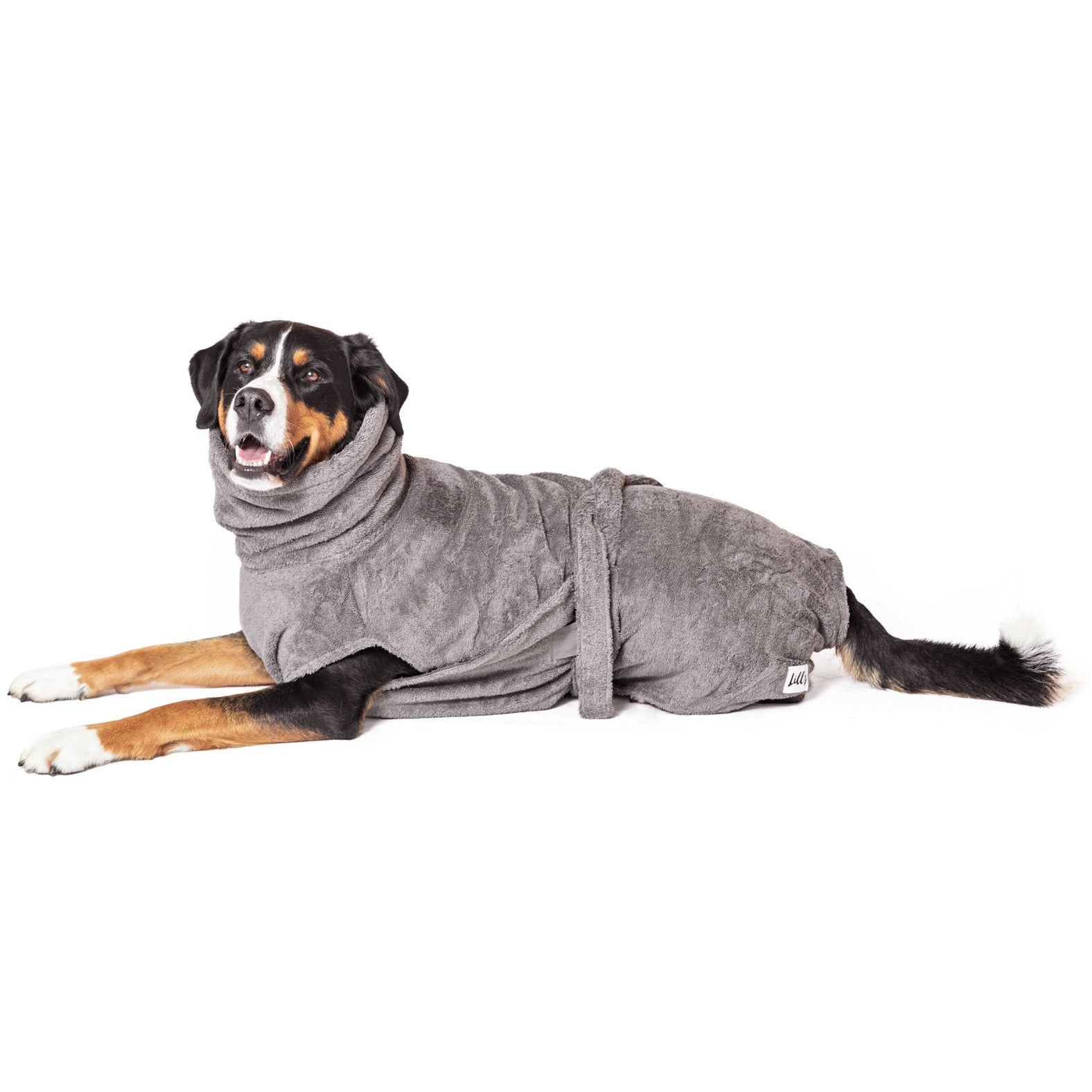 Hundebademantel aus Bio-Baumwolle "Stone Grey" - Lottes Liebling (Inh. Marion Ots)