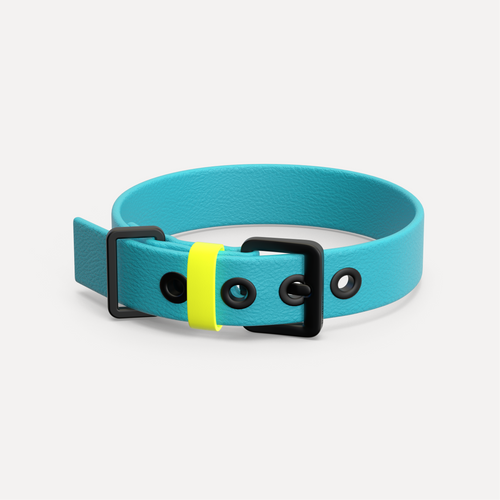 Halsband C01 aqua