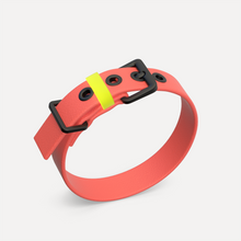 Laden Sie das Bild in den Galerie-Viewer, Halsband C01 coral