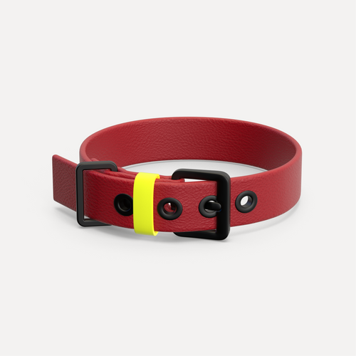 Halsband C01 red
