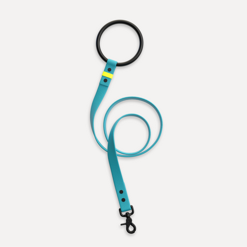 Hundeleine L01 aqua