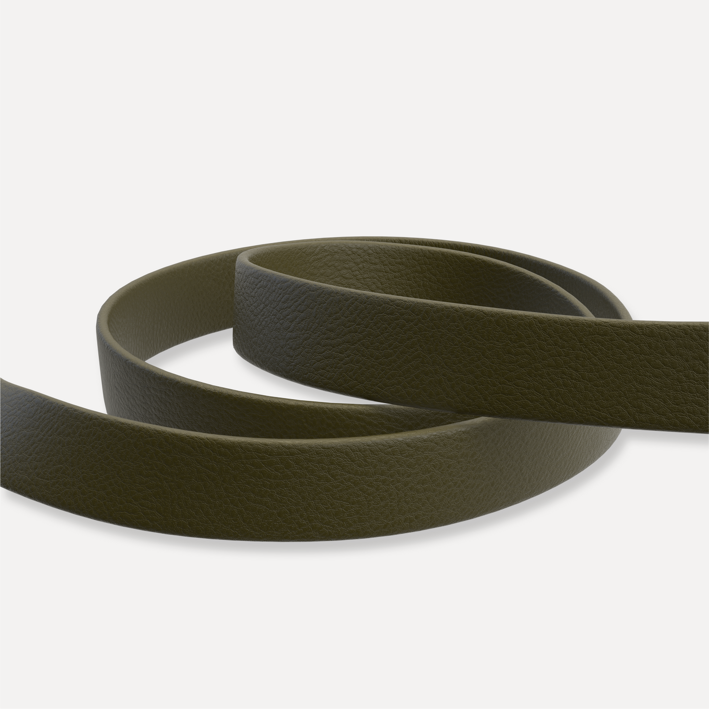 Hundeleine L01 olive