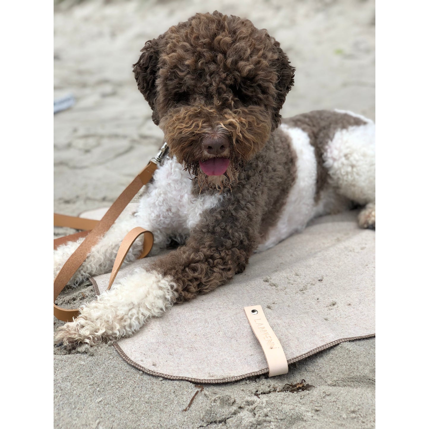 Die Deckenkollektion von Åsnen für Hunde ist die Quintessenz von Schönheit und Schlichtheit. Stilvolle und handgefertigte Wolldecken für Hunde garantieren angenehme Wärme und schützen deinen Hund vor Kälte. Außerdem funktionieren die Decken perfekt auf Reisen, im Urlaub oder beim Besuch bei Freunden.