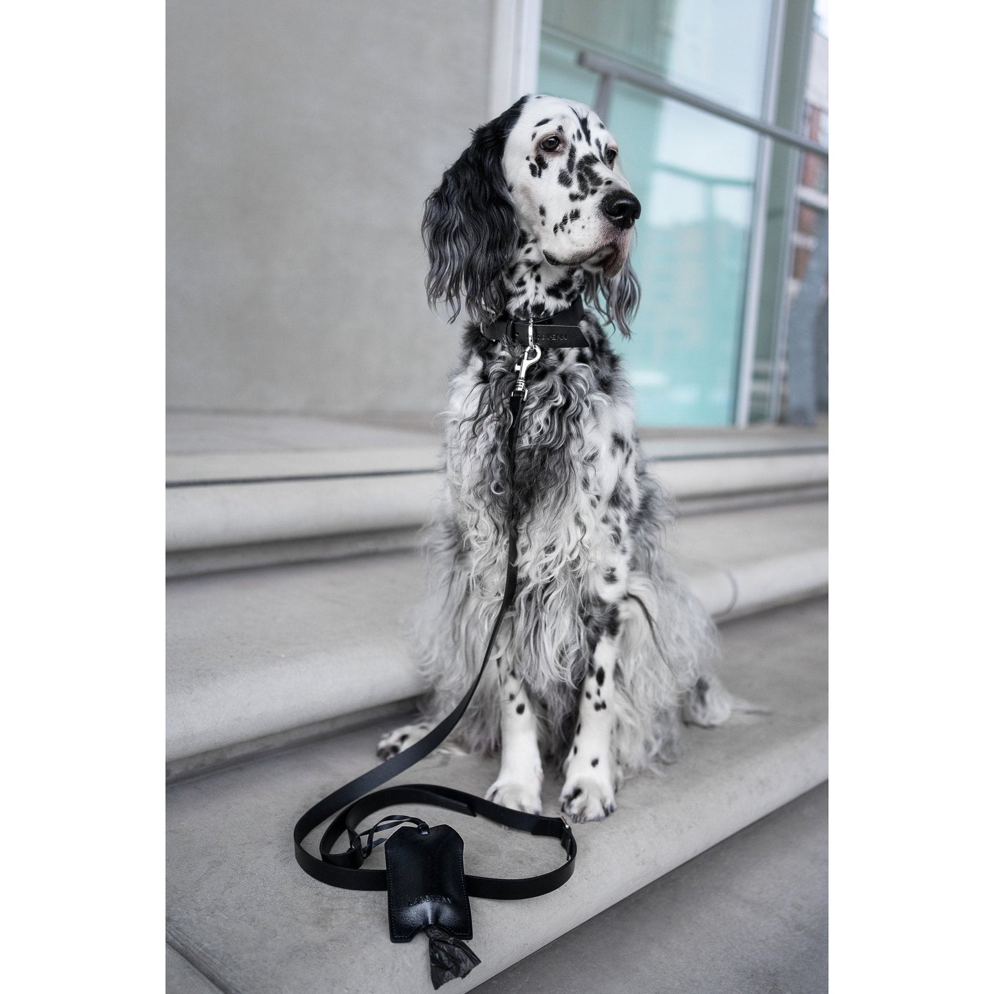 Kotbeutelspender Saku