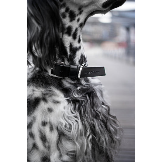 Halsband Kollu