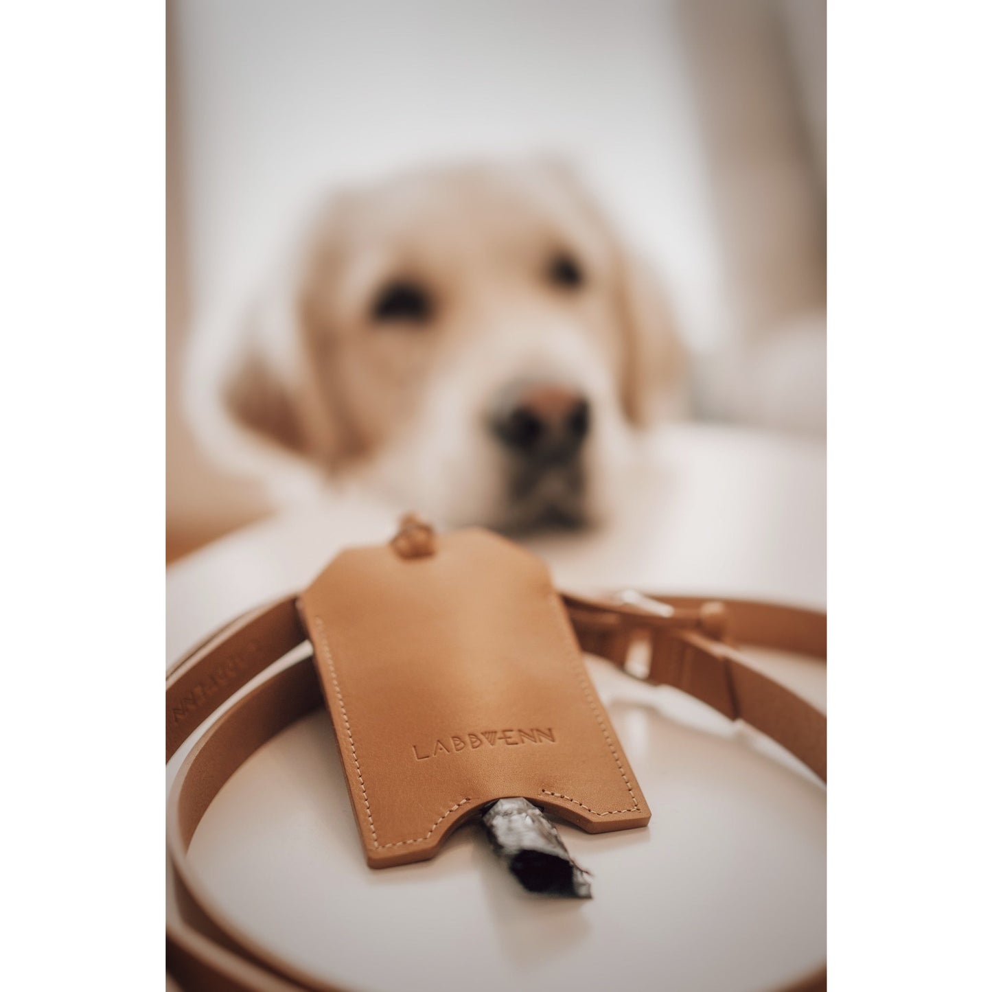 Kotbeutelspender Saku