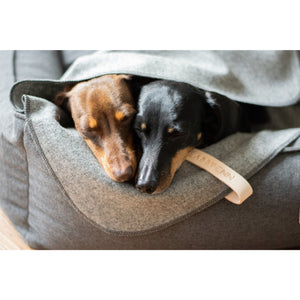 Die Deckenkollektion von Åsnen für Hunde ist die Quintessenz von Schönheit und Schlichtheit. Stilvolle und handgefertigte Wolldecken für Hunde garantieren angenehme Wärme und schützen deinen Hund vor Kälte. Außerdem funktionieren die Decken perfekt auf Reisen, im Urlaub oder beim Besuch bei Freunden.