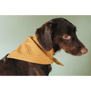 Hunde Bandana Tori