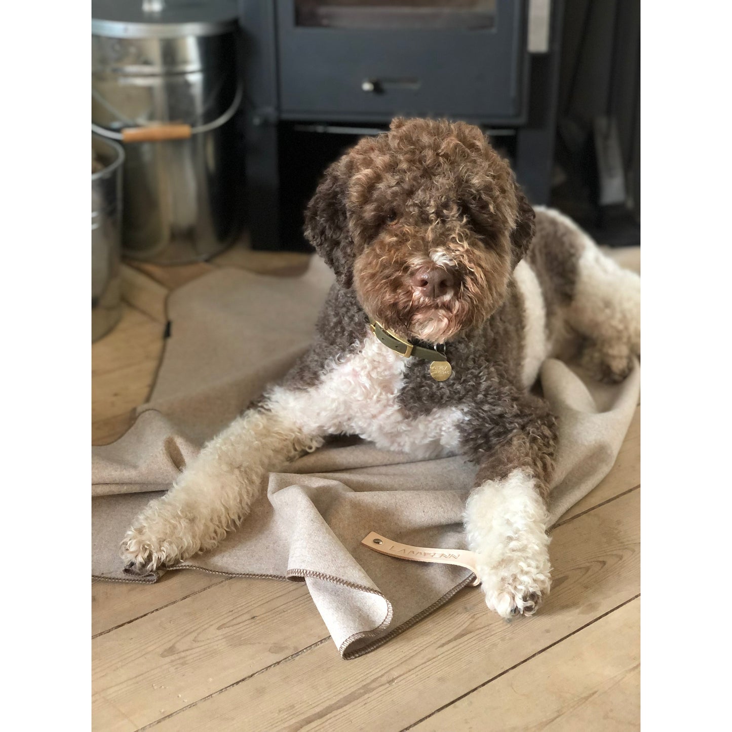 Die Deckenkollektion von Åsnen für Hunde ist die Quintessenz von Schönheit und Schlichtheit. Stilvolle und handgefertigte Wolldecken für Hunde garantieren angenehme Wärme und schützen deinen Hund vor Kälte. Außerdem funktionieren die Decken perfekt auf Reisen, im Urlaub oder beim Besuch bei Freunden.