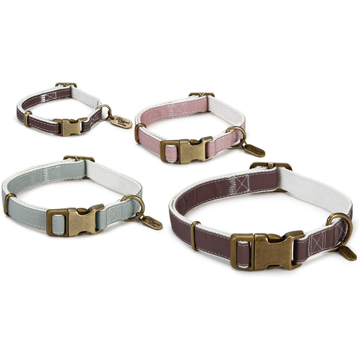 Hundehalsband Virante - Lottes Liebling (Inh. Marion Ots)