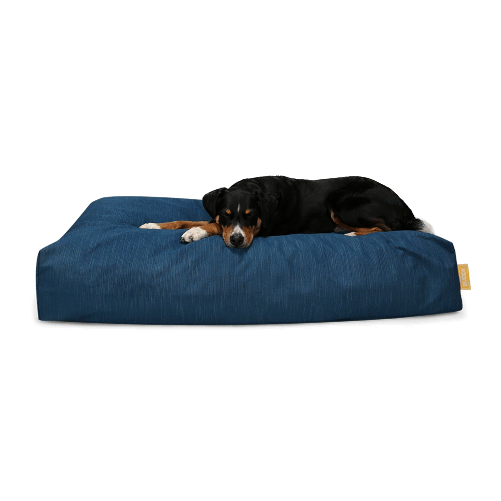 BUDDY. Hundebett Jumbo Ocean