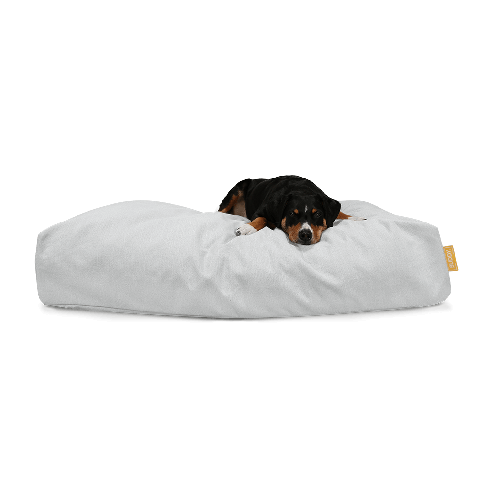 BUDDY. Bett Jumbo Stone