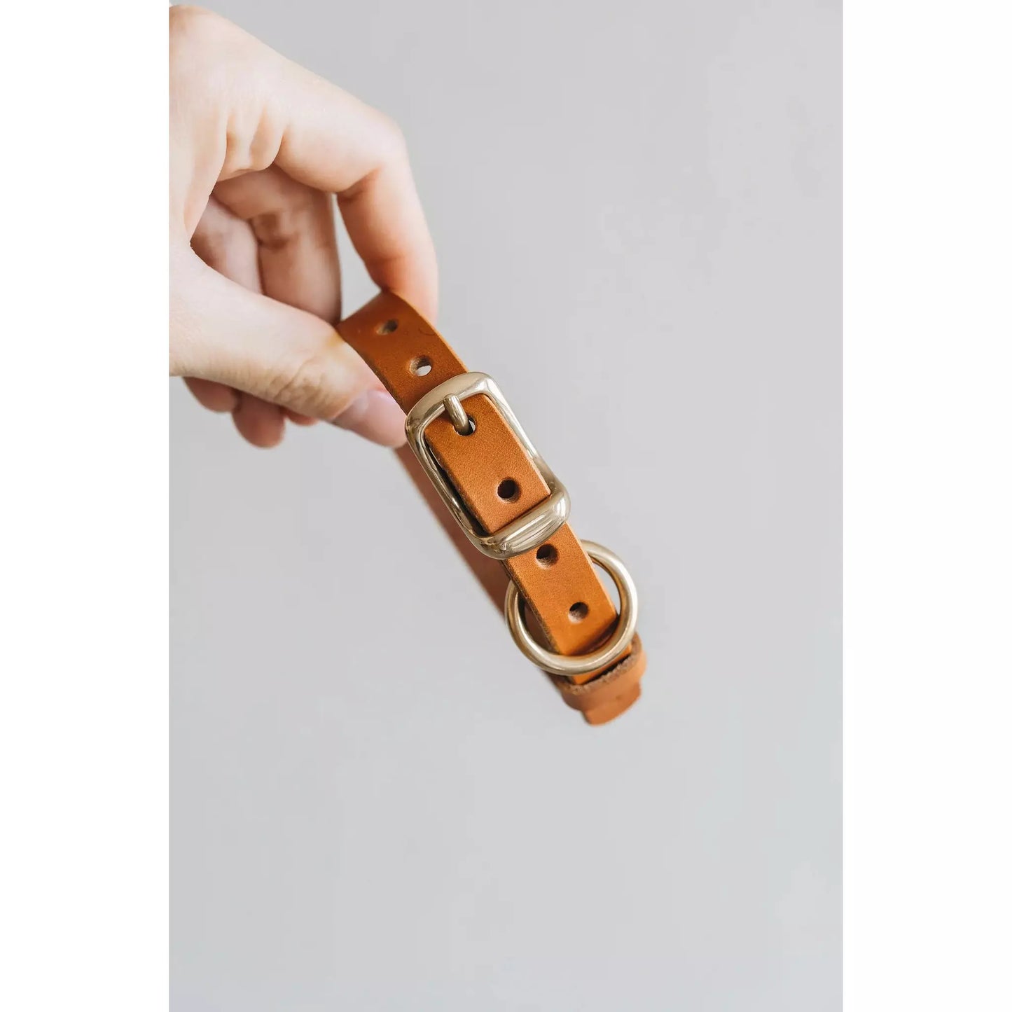 Hundehalsband Fir Air