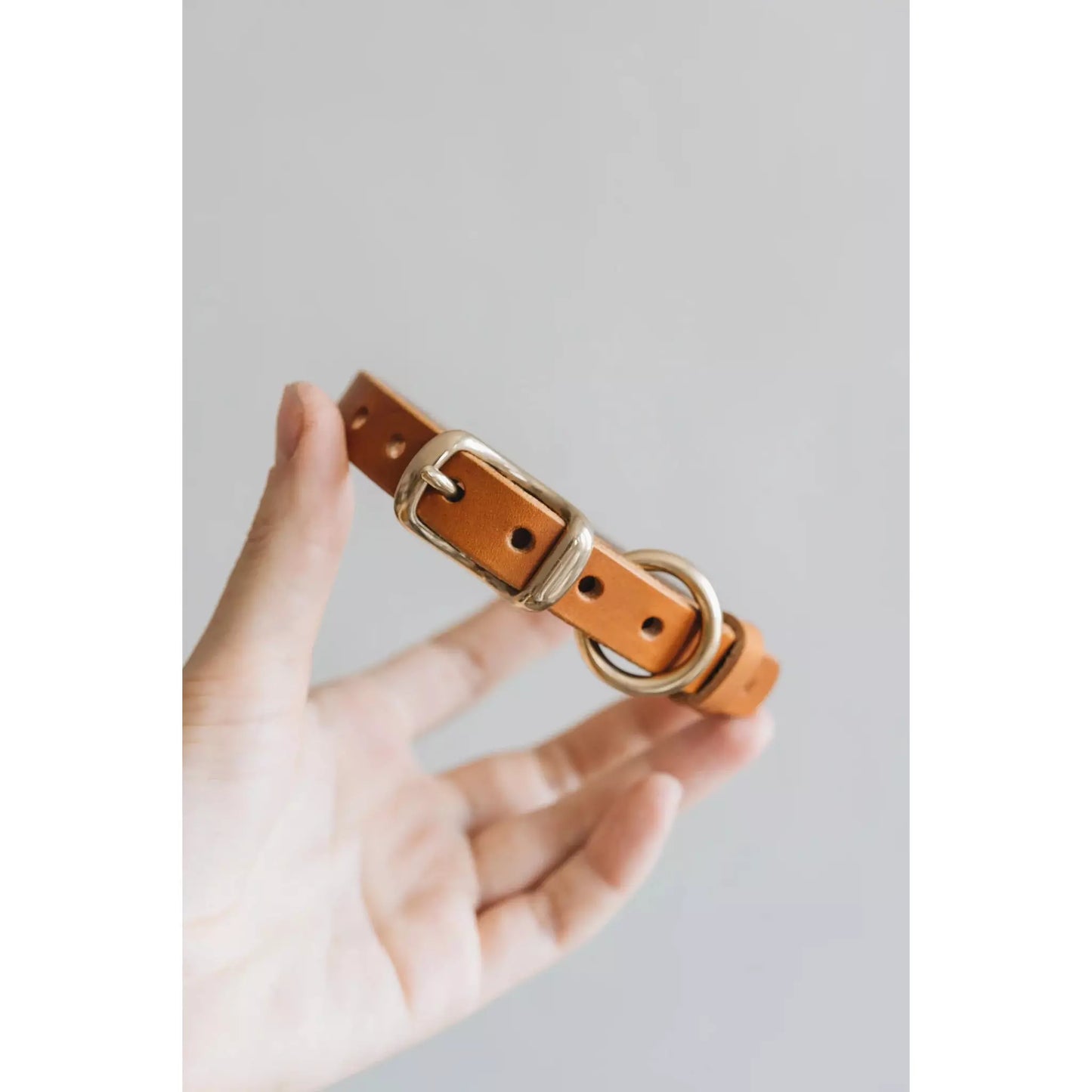 Hundehalsband Fir Air