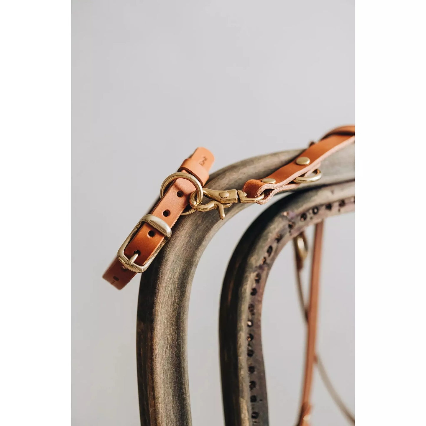 Hundehalsband Fir Air